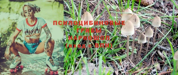 эйфоретик Абинск