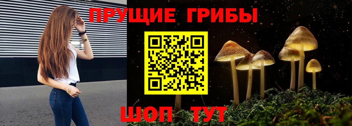 Рязань  Псилоцибиновые грибы Magic Shrooms  Вход с VPN 